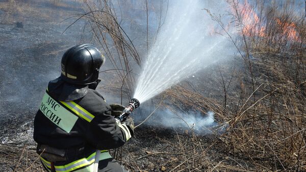 Incendios forestales en Rusia - Sputnik Mundo