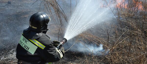 Incendios forestales en Rusia Incendios forestales en Rusia - Sputnik Mundo