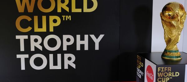 El trofeo de la Copa Mundial de fútbol (archivo) El trofeo de la Copa Mundial de fútbol (archivo) - Sputnik Mundo