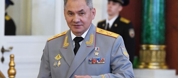 El ministro de Defensa de Rusia, Serguéi Shoigú, en Kremlin - Sputnik Mundo