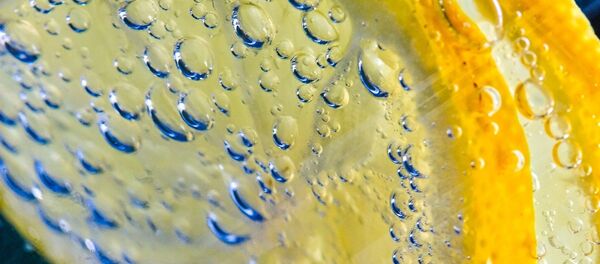 Rodaja de limón - Sputnik Mundo