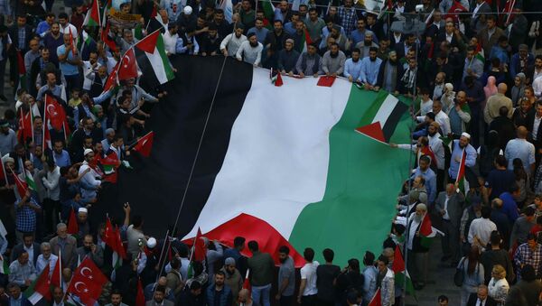 Manifestación en Estambul - Sputnik Mundo