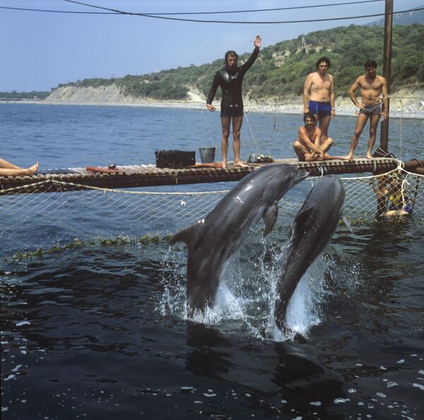 Empleados del Instituto de Ecología y Evolución Severtsov en 1980 en la región de Krasnodar - Sputnik Mundo