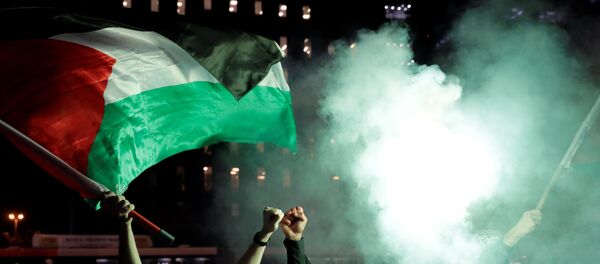 Manifestación de los palestinos por los acontecimientos en Gaza Manifestación de los palestinos por los acontecimientos en Gaza - Sputnik Mundo