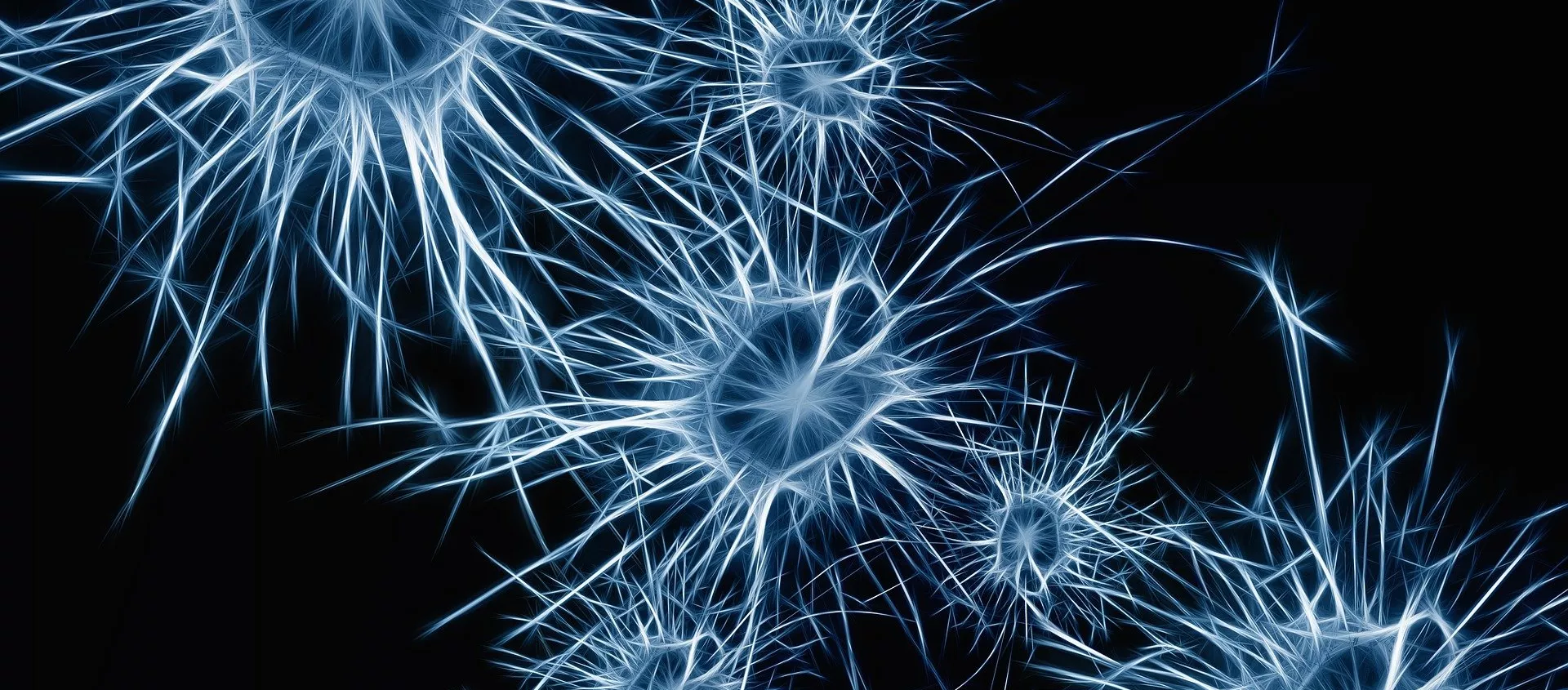 Neuronas (imagen referencial) Neuronas (imagen referencial) - Sputnik Mundo, 1920, 19.01.2021