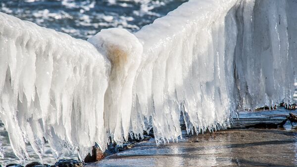 Un glacial - Sputnik Mundo