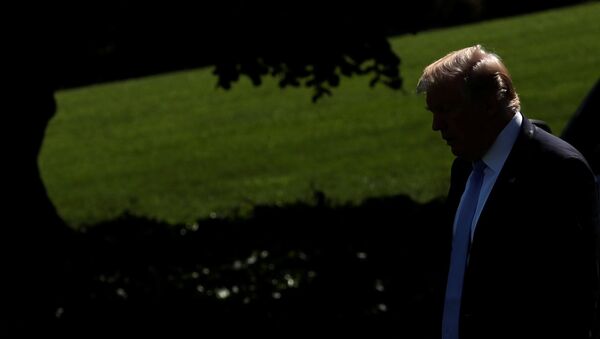 Donald Trump, presidente de EEUU - Sputnik Mundo