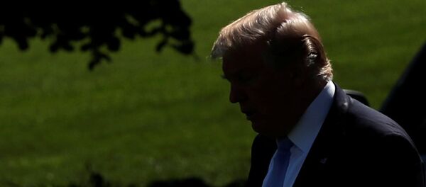 Donald Trump, presidente de EEUU - Sputnik Mundo