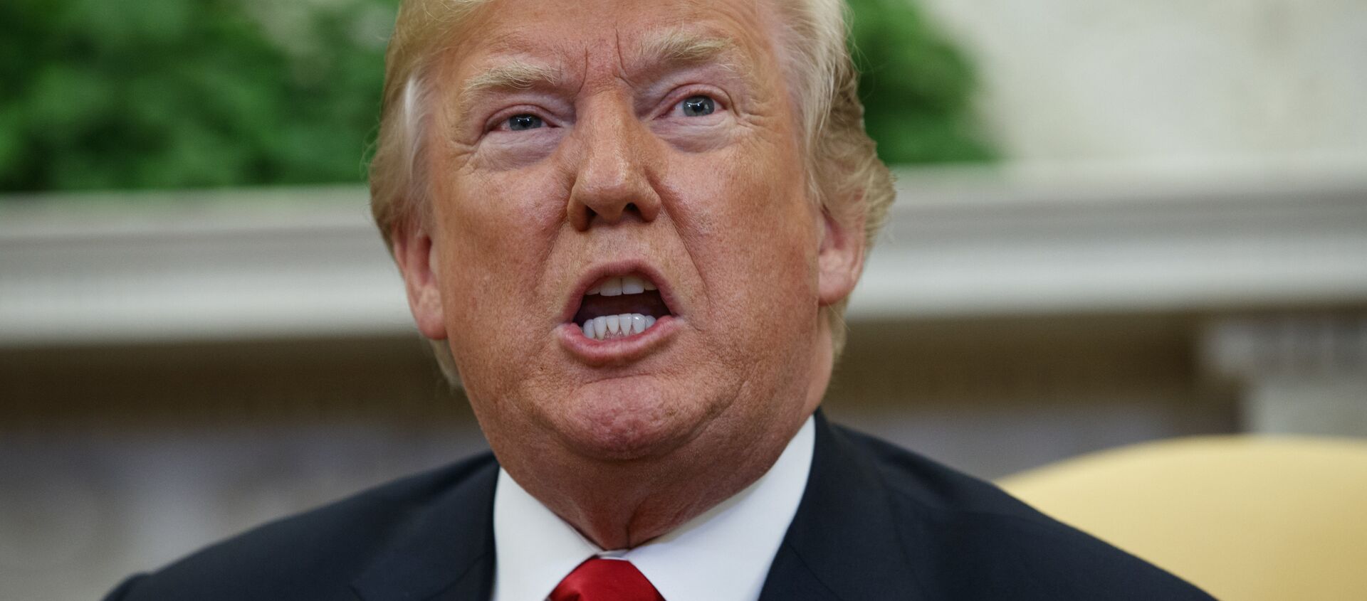 Donald Trump, presidente de EEUU - Sputnik Mundo, 1920, 07.12.2020