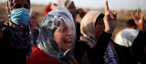 La situación en la Franja de Gaza La situación en la Franja de Gaza - Sputnik Mundo