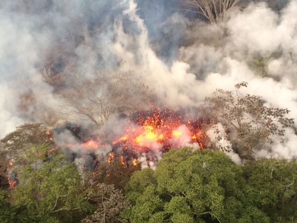 Naturaleza desencadenada: la espectacular erupción del volcán hawaiano Kilauea - Sputnik Mundo