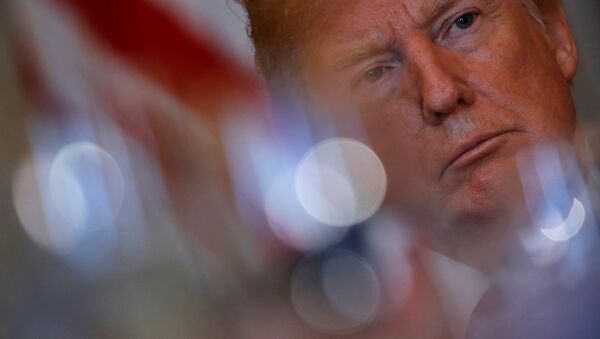 Donald Trump, el presidente de EEUU - Sputnik Mundo