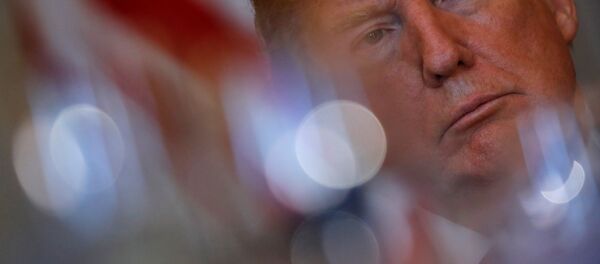 Donald Trump, el presidente de EEUU - Sputnik Mundo