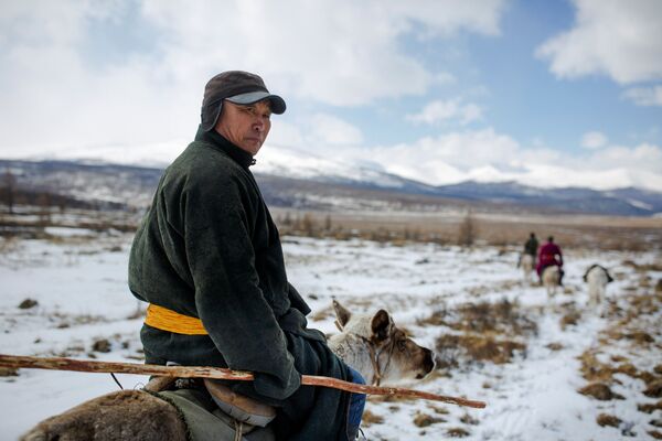 Cómo viven los últimos pastores de renos en Mongolia - Sputnik Mundo