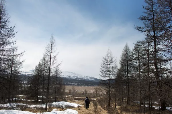 Cómo viven los últimos pastores de renos en Mongolia Cómo viven los últimos pastores de renos en Mongolia