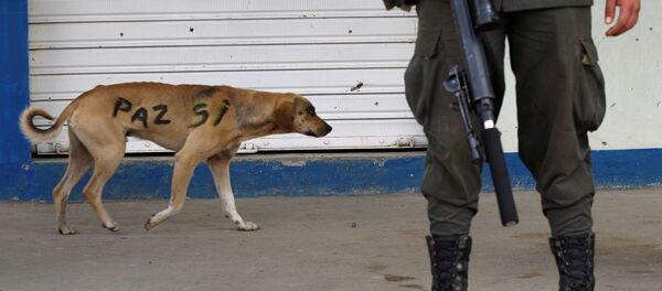 Un perro con las palabras paz sí en su lado en Colombia Un perro con las palabras paz sí en su lado en Colombia - Sputnik Mundo