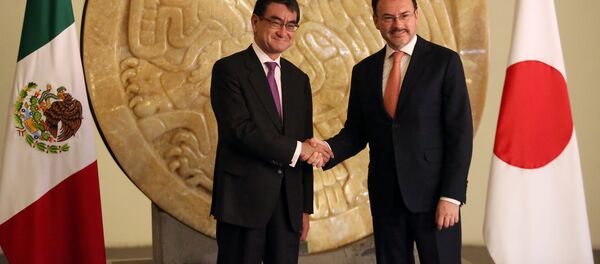 Los cancilleres de México, Luis Videgaray, y de Japón, Taro Kono - Sputnik Mundo