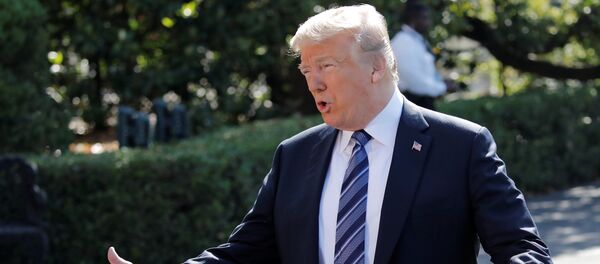 Donald Trump, presidente de EEUU - Sputnik Mundo