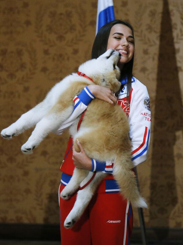 La patinadora artística rusa Alina Zaguítova recibe de Japón un perro de la raza Akita Inu  - Sputnik Mundo