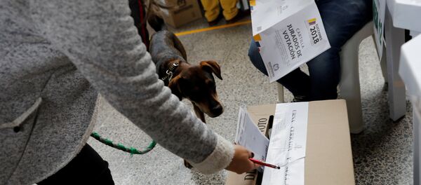Una colombiana vota con su perro durante las elecciones del 27 de mayo - Sputnik Mundo