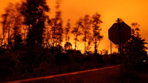 La erupción del volcán Kilauea en Hawái - Sputnik Mundo