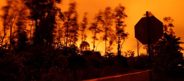 La erupción del volcán Kilauea en Hawái La erupción del volcán Kilauea en Hawái - Sputnik Mundo