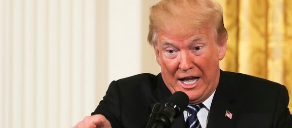 Donald Trump, presidente de EEUU - Sputnik Mundo