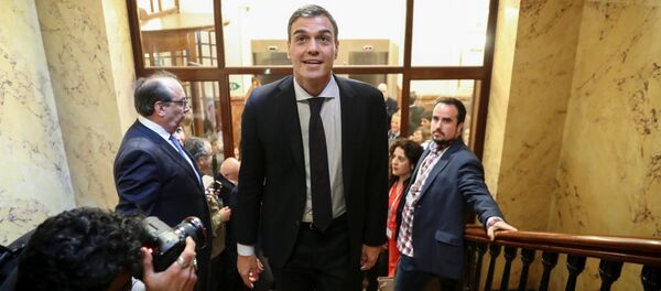 Pedro Sánchez, líder del PSOE - Sputnik Mundo