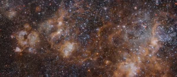 La nebulosa de la Tarántula - Sputnik Mundo