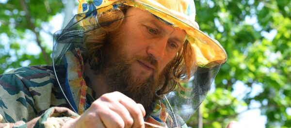 Participante del programa 'Hectárea gratis en el Lejano Oriente' (imagen referencial) - Sputnik Mundo