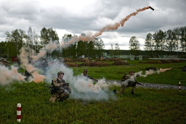 Los mejores de los mejores: concurso de la inteligencia militar rusa en Siberia - Sputnik Mundo