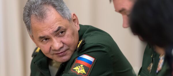 El ministro de Defensa ruso, Serguéi Shoigú - Sputnik Mundo