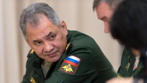 El ministro de Defensa ruso, Serguéi Shoigú El ministro de Defensa ruso, Serguéi Shoigú - Sputnik Mundo
