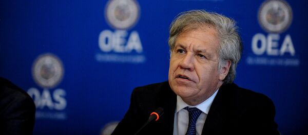 El secretario general de la OEA, Luis Almagro, participa en una conferencia de prensa en Washington - Sputnik Mundo