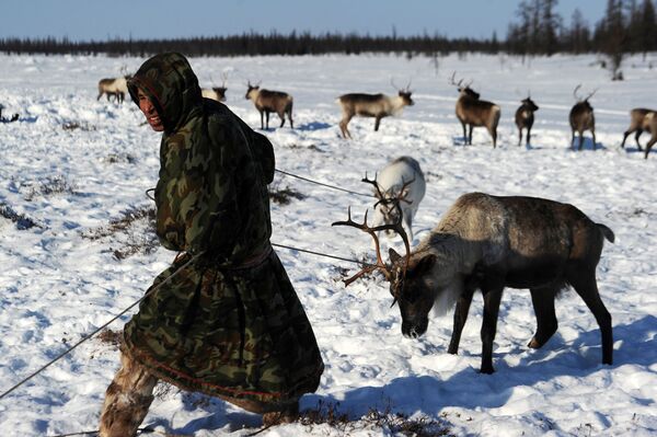 El espíritu del Mundial en el Extremo Norte de Rusia - Sputnik Mundo