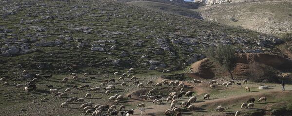 Un asentamiento israelí en Cisjordania - Sputnik Mundo