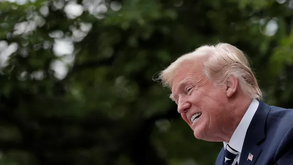Donald Trump, presidente de EEUU - Sputnik Mundo