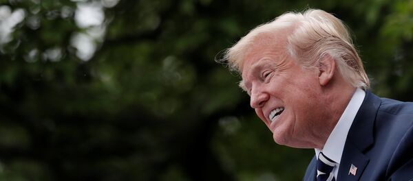 Donald Trump, presidente de EEUU - Sputnik Mundo