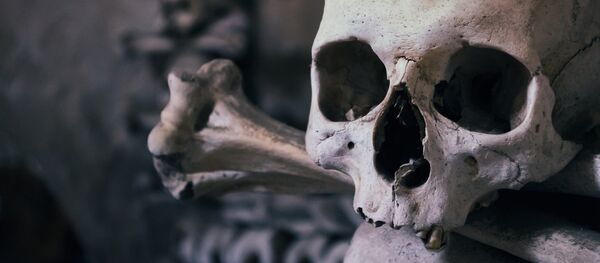 Una calavera (archivo) - Sputnik Mundo