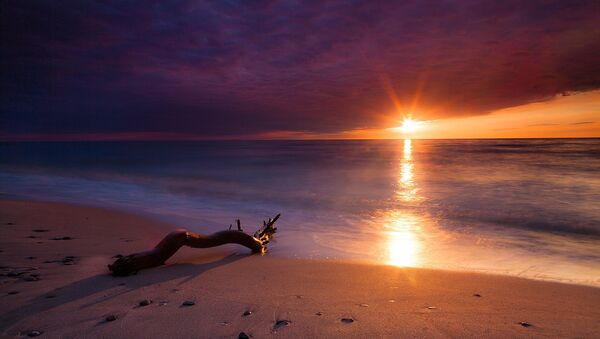 Una playa (imagen referencial) - Sputnik Mundo