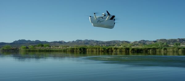 La aeronave ultraligera Flyer durante el vuelo La aeronave ultraligera Flyer durante el vuelo - Sputnik Mundo