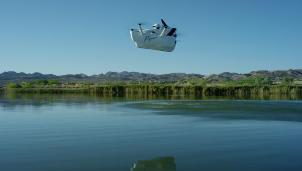 La aeronave ultraligera Flyer durante el vuelo - Sputnik Mundo