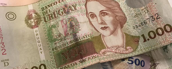 Pesos uruguayos (archivo) Pesos uruguayos (archivo) - Sputnik Mundo