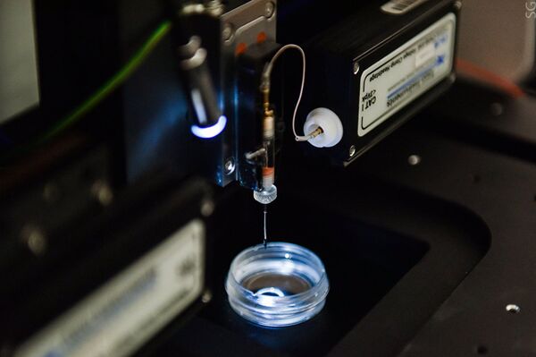 Microscopio para escáneo de celulas - Sputnik Mundo