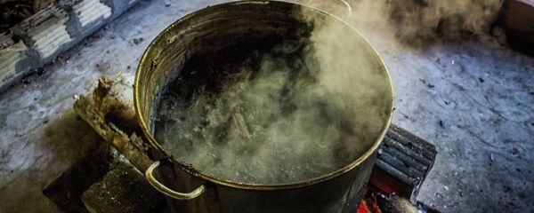 La ayahuasca - Sputnik Mundo