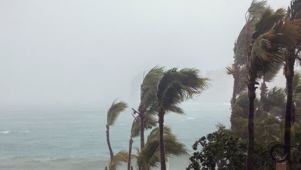 Situación tras el paso del huracán Bud en Los Cabos, México - Sputnik Mundo