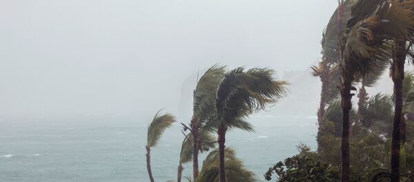 Situación tras el paso del huracán Bud en Los Cabos, México - Sputnik Mundo