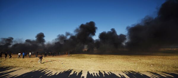 Protestas de los palestinos de Gaza en la frontera con Israel Protestas de los palestinos de Gaza en la frontera con Israel - Sputnik Mundo