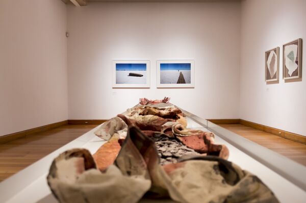 Exposición 'Mares blancos' del artista chileno, Hernán Cruz - Sputnik Mundo