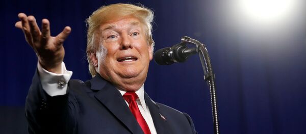 El presidente de EEUU, Donald Trump - Sputnik Mundo
